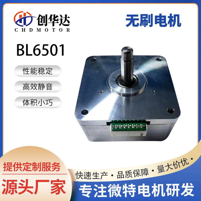 Underwater Cleaning Robot BL6501 Brushless Motor Medical Device High Voltage Resistant Low Noise Waterproof Brushless Motor