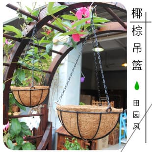 Factory Direct Coconut Coir Hanging Woven Flower Pot with Iron Hook, Wall-Mounted Hanging Planter for Succulents