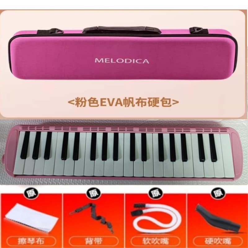 Hard Case Melodica Wholesale 32-key 37-key Melodica Children Student Wind Instrument with Melodica Mouthpiece and Blow Pipe