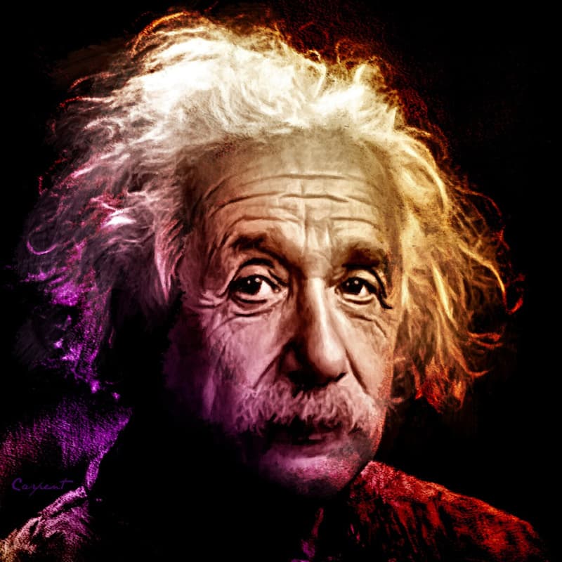 Take a photo of Einstein's brain and it will automatically grow on your brain