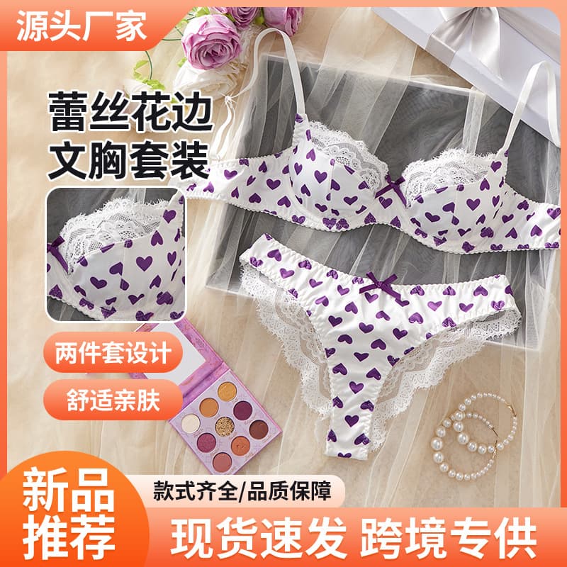 Cross-Border New Sexy Lace French Lingerie Pure Desire Style Mesh See-Through Heart-Shaped Print Ultra-Thin Bra Set