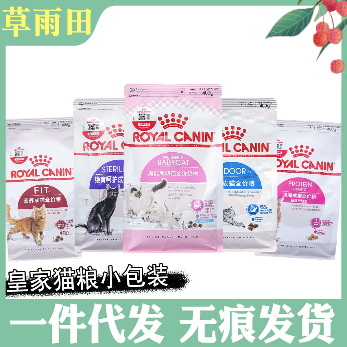 Royal Canin Nutritional Adult Cat Food, Complete Kitten Food 400G, Neutered Cat Main Food, Kitten Milk Cake