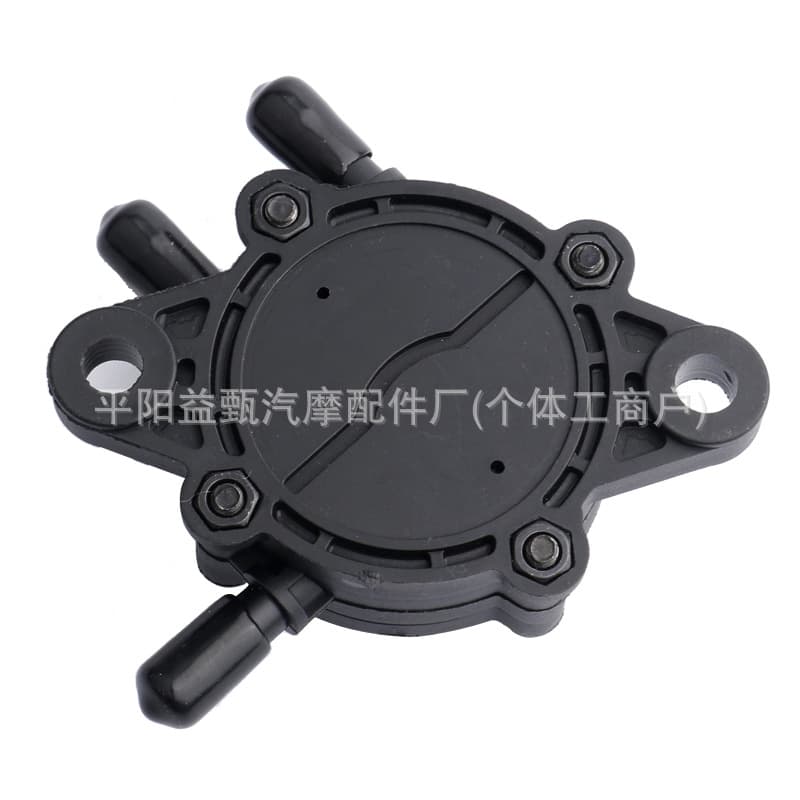 808656 491922 fuel pump suitable for BS 491922 691034 692313.