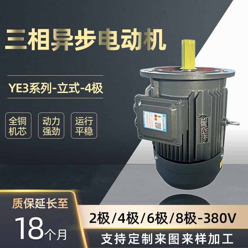 Vertical three-phase motor, 4-pole, 11KW, 380V, three-phase asynchronous motor, Hebei Electric