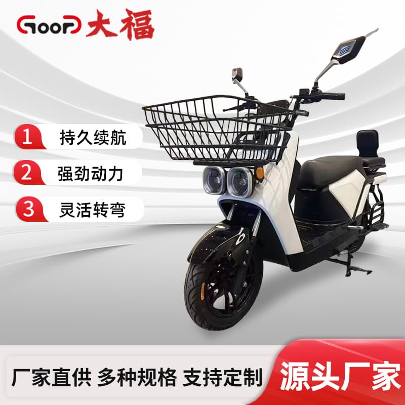 Delivery Load King Electric Scooter Commuter Bicycle for Adults, Long-Range Lithium Battery E-bike for Delivery and Cargo