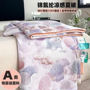 Class A Nylon-Spandex Small Ice Skin Printed Summer Cool Quilt, Double-sided Cool Summer Quilt, Cool Silk Ice Cream Air Conditioning Blanket Thin Quilt Core