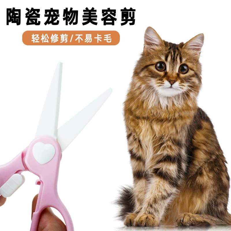 Pet Scissors Cat Grooming Ceramic Scissors Grooming Tool Set Trimming Scissors Straight Scissors Dog Teddy Poodle