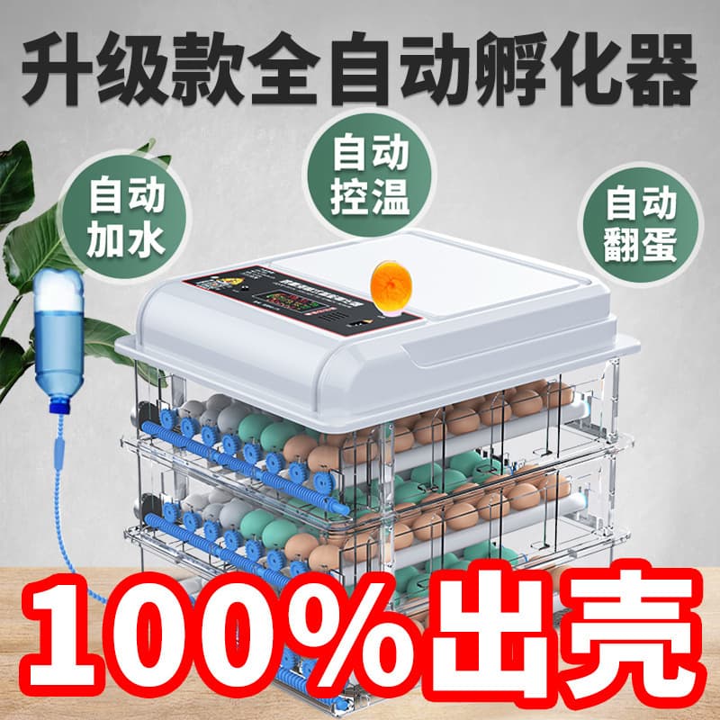 Small Automatic Egg Incubator, Smart Home Chicken Incubator, Pigeon Hatcher, Egg Hatching Machine