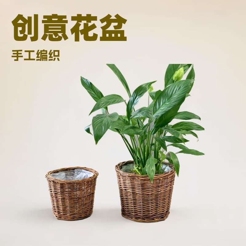 Creative Woven Willow Flower Pot Handmade Desktop Storage Basket Rattan Pothos Pot Living Room Decoration Garden Flower Vessel Pot
