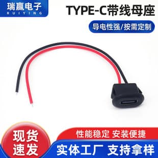 Type-C Female Socket 2P with Wire, Injection Molded Waterproof, Flat Shape, Convenient Direct Press, Charging Connector for Desk Lamps and Toys