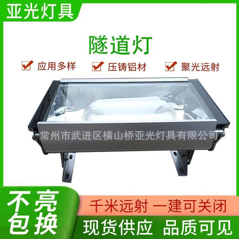 Manufacturer supplies induction tunnel lights 100W-250W, compatible with metal halide, sodium, and LED lighting.