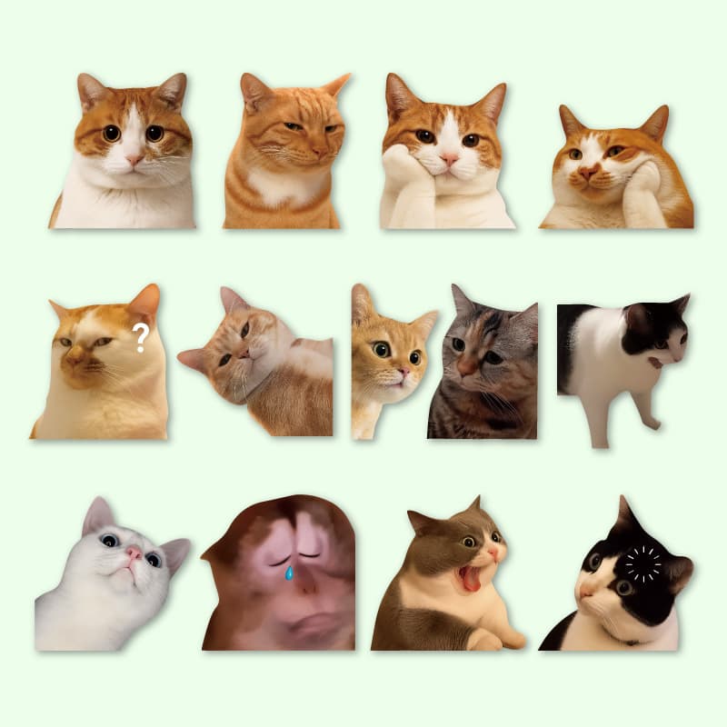 Funny Meme Cat Sticker for Car, Laptop, Luggage, Waterproof, Animal Design