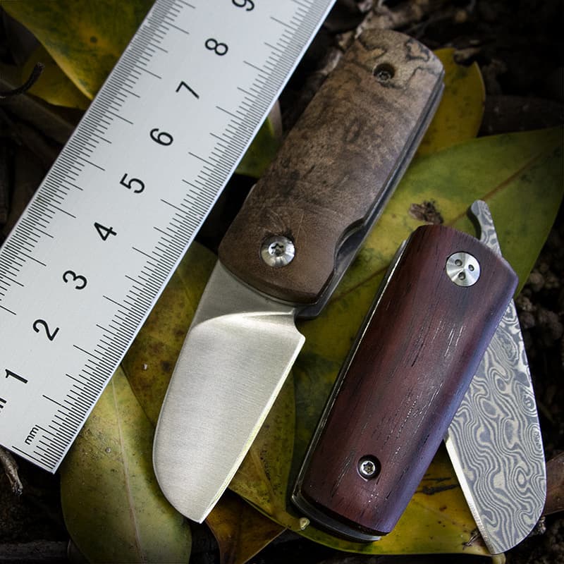 Mini Key Knife Outdoor Folding Knife Damascus Steel Pocket Knife Fruit Knife Folding Knife EDC Tool
