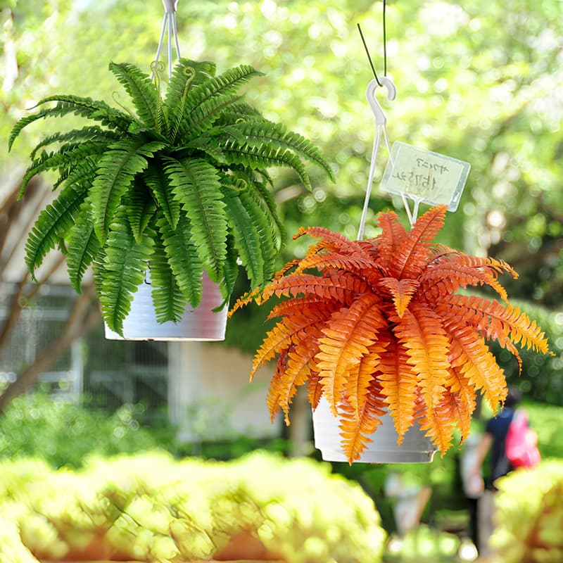 Simulated Persian Grass Plants Wholesale Silk Persian Fern Leaves Wedding Home Decoration Plant Wall Tropical Plants
