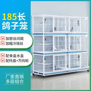 185 Premium Encrypted Pigeon Cage Public Loft Pigeon Loft Pigeon Cage Club Racing Pigeon Cage Pigeon Pairing Cage Breeding Cage