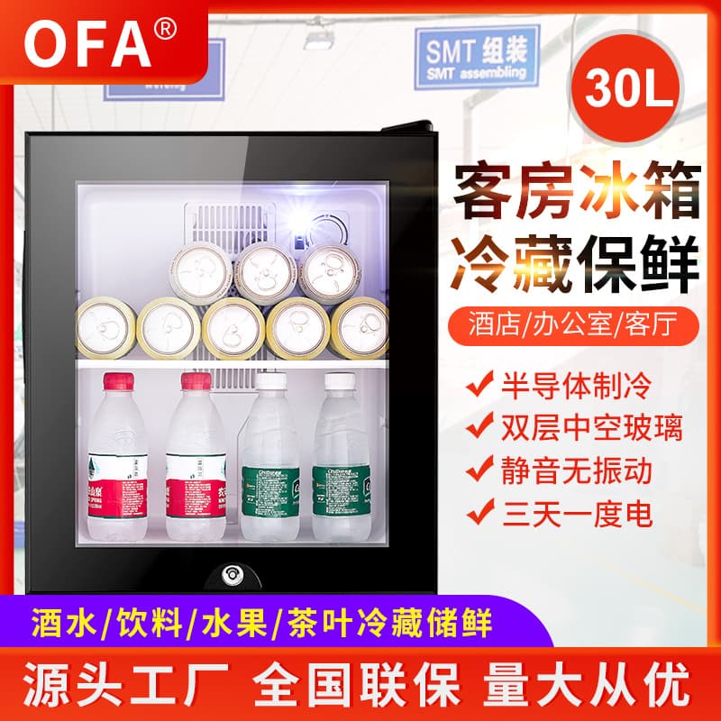 Hotel Mini Fridge 30L for Sample Storage, Tea Cooling, Beverage Preservation, and Mini Bar Use
