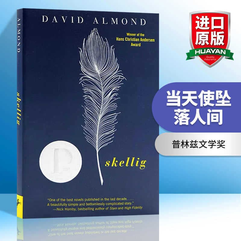 Skellig - When Angels Fall to Earth, English original novel, Printz Award, American edition