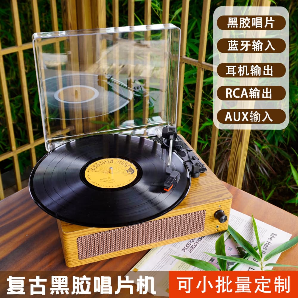 Transparent Cover Vinyl Record Player with Bluetooth Playback, Type-C Powered Phonograph Retro Design