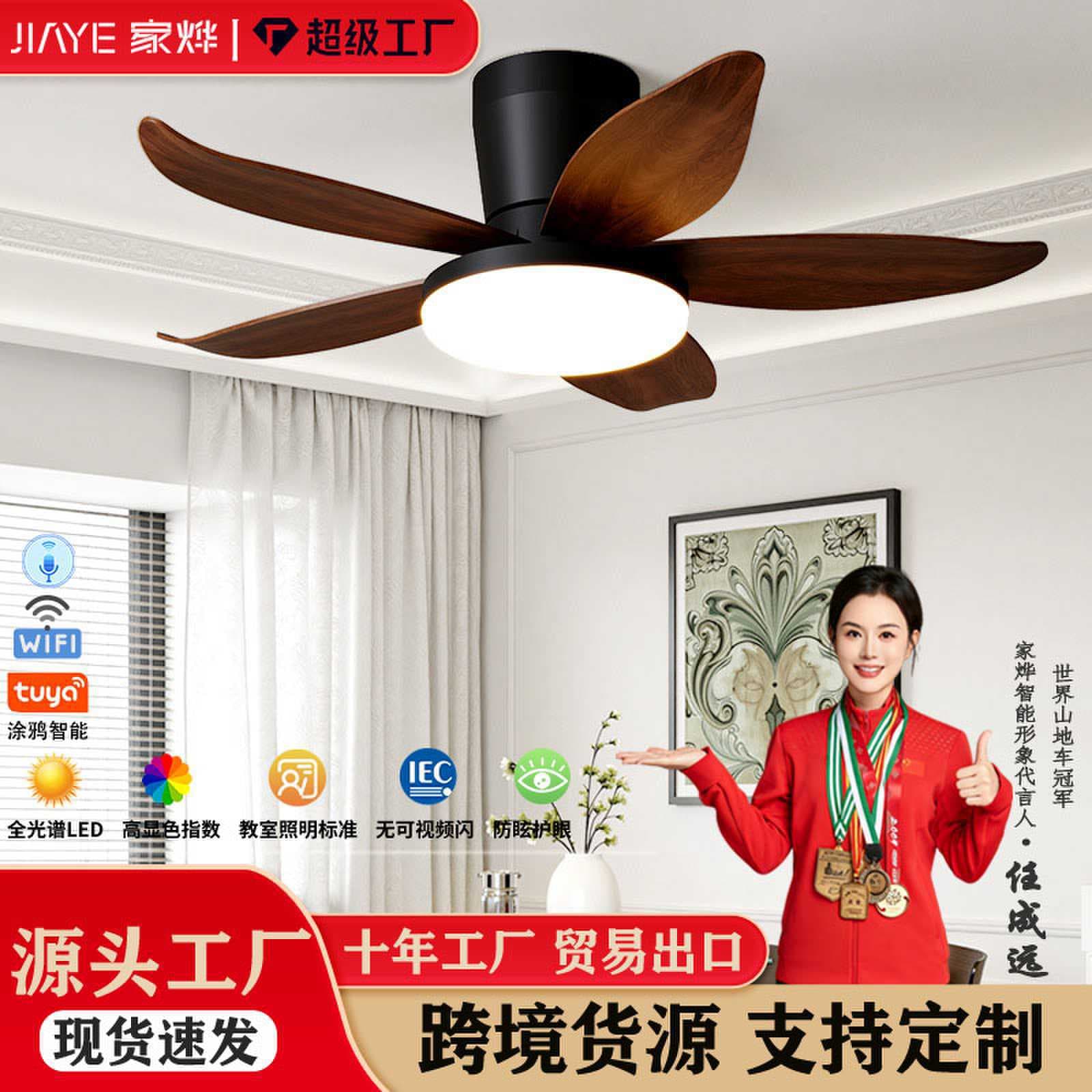 Small Bedroom Fan Light Ceiling Fan Light with Direct Blades for Home, Compact Size for Dining Room, Balcony Ceiling Fan Light