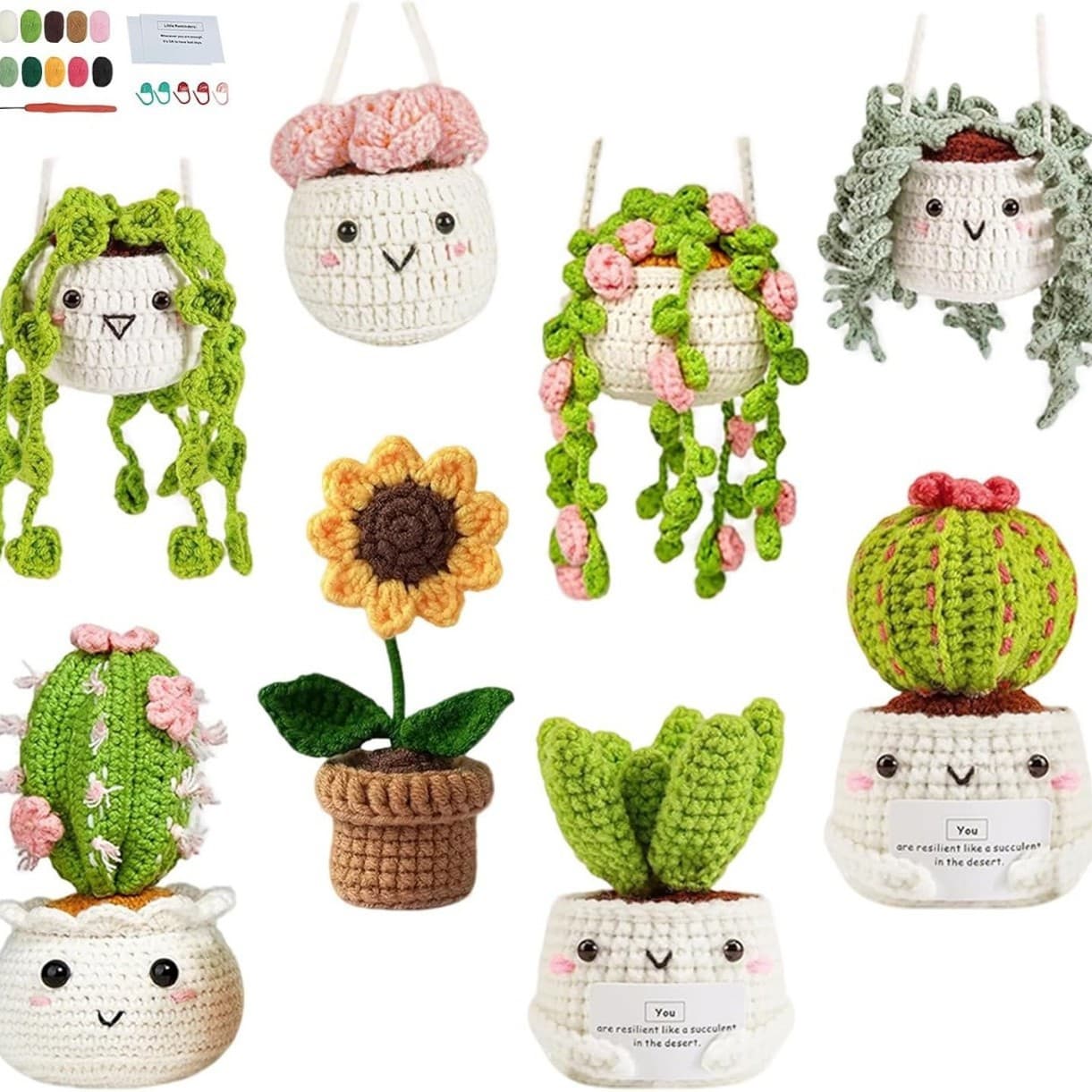 Cross-Best-Selling Woven 8-Piece Plant Pot Crochet Kit with English Video Tutorial