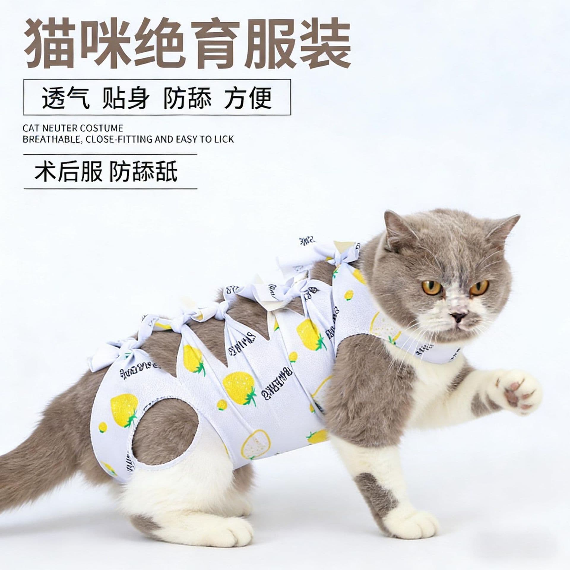 Pet Cat Spay Suit, Post-Surgery Recovery Wear, Breathable Weaning Panties, Physiological Pants for Cats, Wholesale Pet Panties