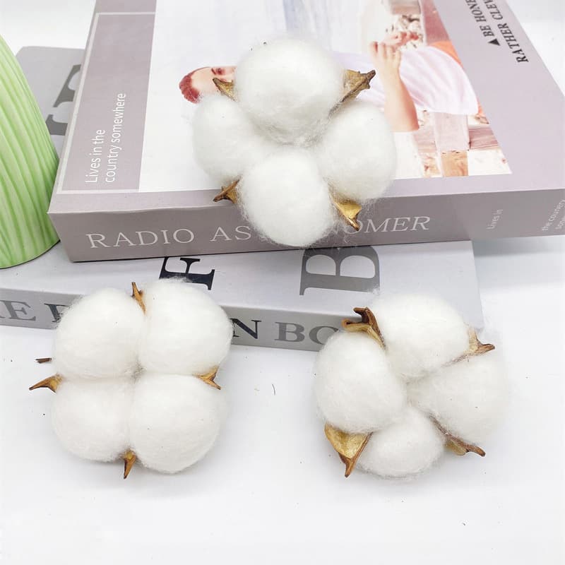 Factory Wholesale Simulation Single Head Cotton Head Natural Dried Flower Branch Cotton Wreath Christmas Supplies Everlasting Flower