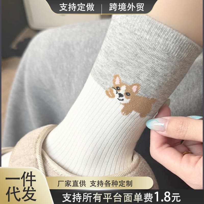 Hachimi Color Block Socks Spring/Summer Korean Women's Mid-Calf Cartoon Puppy Mid-Calf Cute Versatile Ins Pile Long Socks