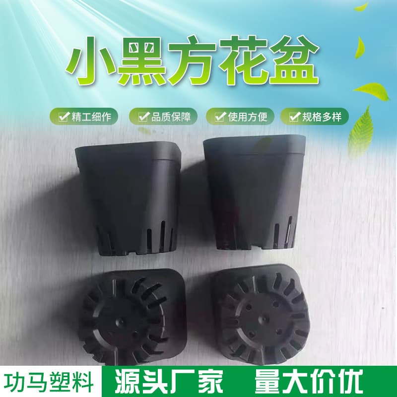 Succulent Black Square Pot Plastic Plant Pot for Gardening Supplies Wholesale from Manufacturer