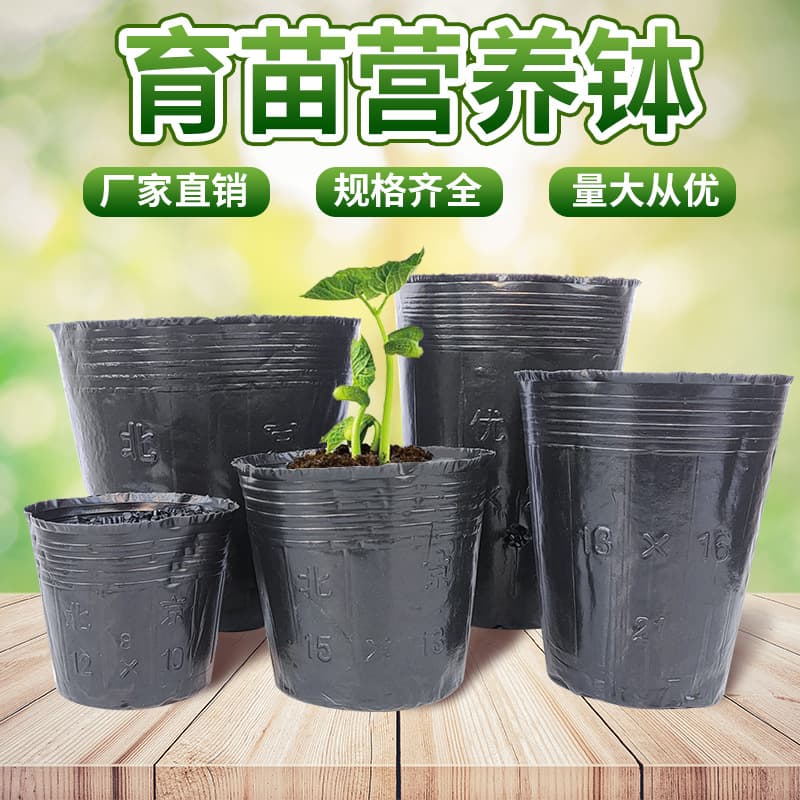 Nutrition Cup Seedling Cup Disposable Large Flower Pot Black Planting Nutrition Bag Seedling Bag Plastic Seedling Pot Nutrition Bowl