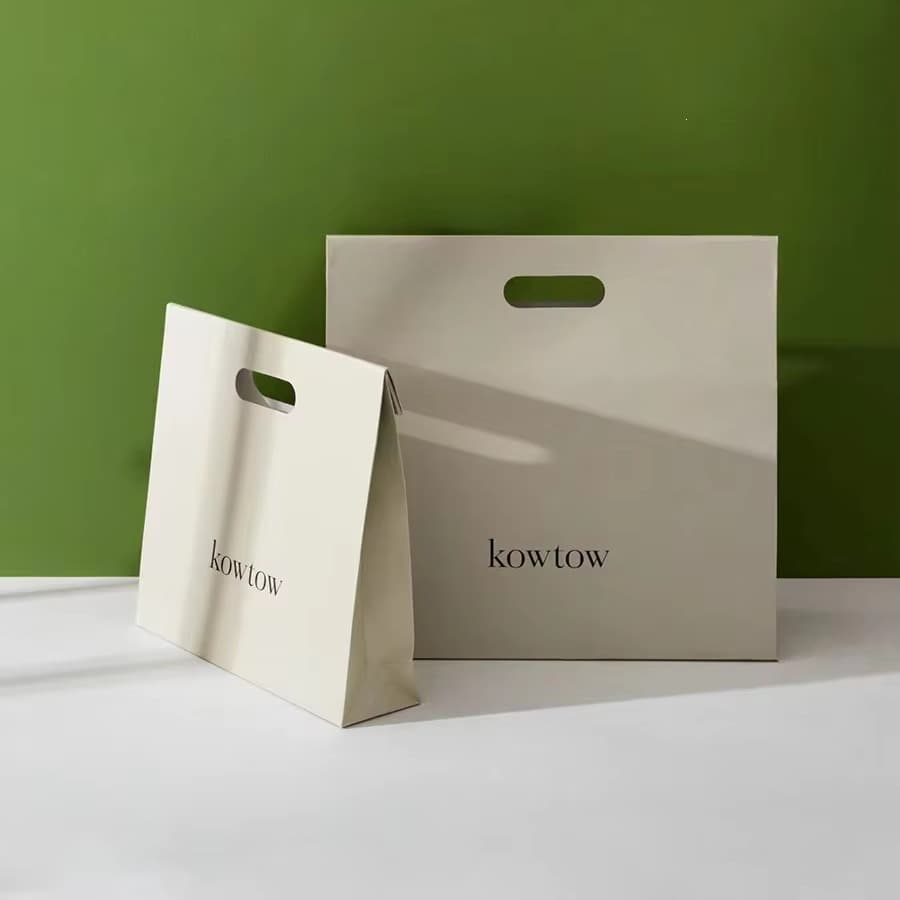 Biodegradable cosmetic gift shop small handbag luxury shopping paper bag with handle shopping bag