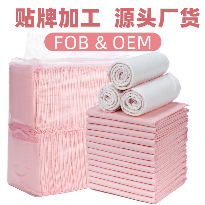 Thickened Odor Eliminating Dog Training Pads 100 Sheets Teddy Absorbent Pet Diapers Disposable Training Pads Super Absorbent Core