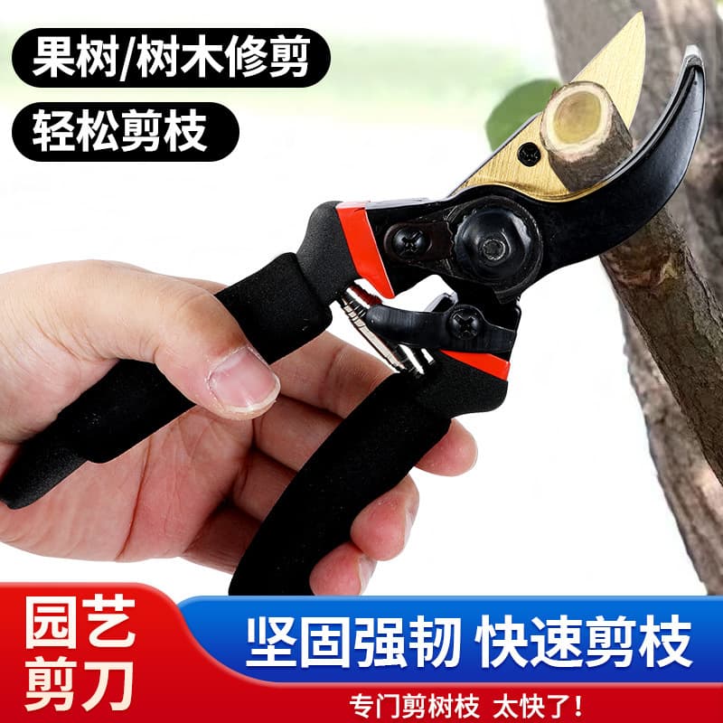 Heavy Duty Pruning Shears for Tree Branches, Garden Flower Scissors, Gardening Thick Branch Cutter, Factory Direct