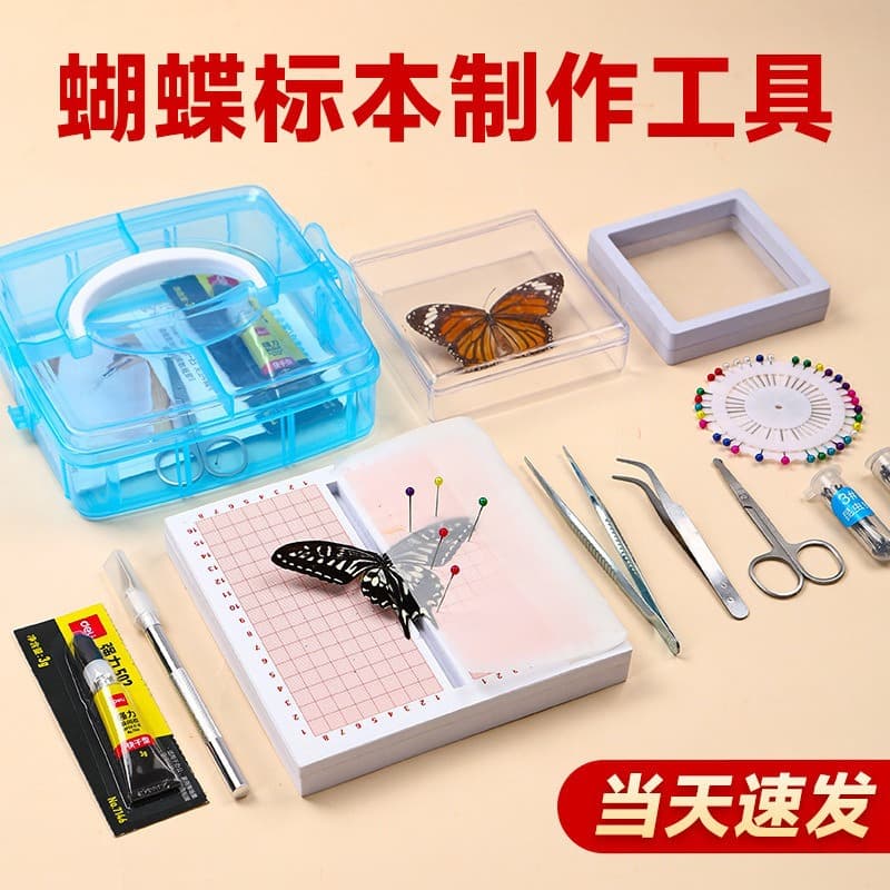 Real Butterfly Specimen Display Board Making Tools Handmade DIY Insect Material Kit Insect Pin Experiment Display Frame Box