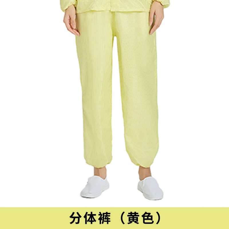 Anti-static Pants, Dust-Free Cleanroom Pants, Industrial Dust-Proof Work Pants for Electronics Factory Workshops, Unisex