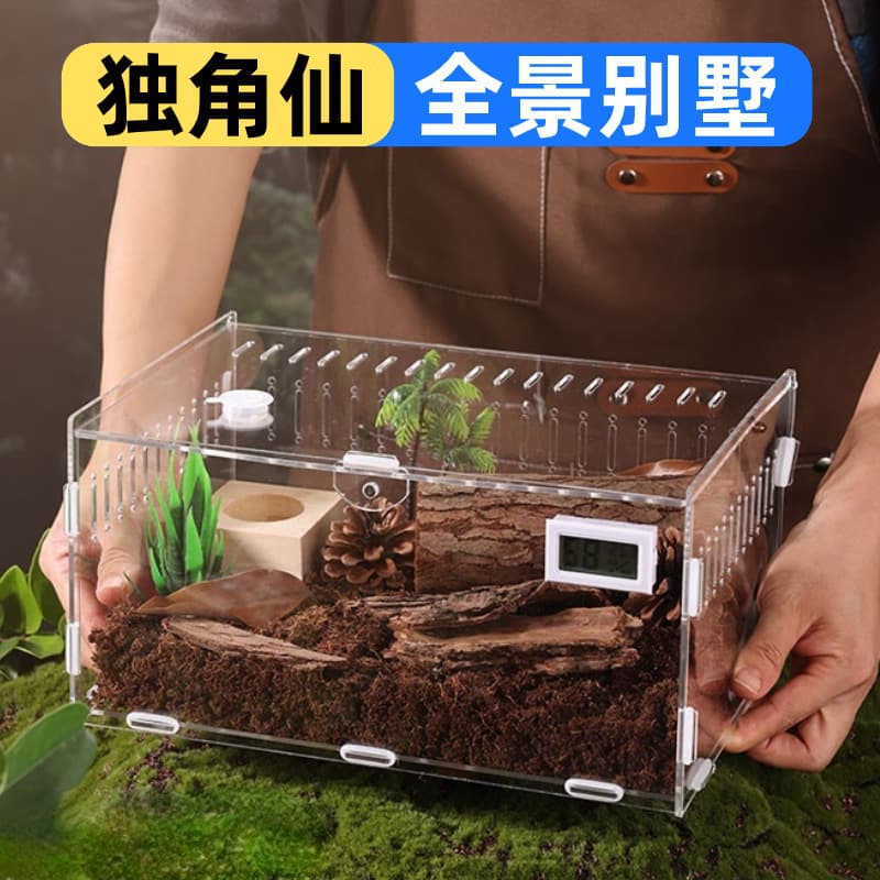 Rhinoceros Beetle Breeding Box Set Stag Beetle Hercules Beetle Adult Beetle Breeding Box Insect Snail Spider
