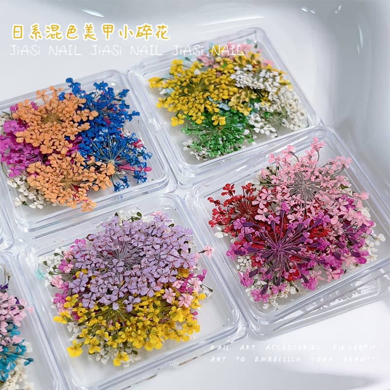 Cross-border new boxed nail art dried flowers whole real flowers mixed color dried flowers leaves jewelry nail dried flowers wholesale