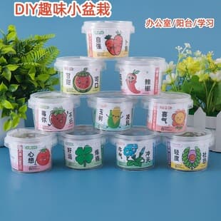 Creative Planting Blind Box Gift Set for Elementary Students Desktop Decoration Potted Plant Children's Seed Plant Canned Small Potted Plant