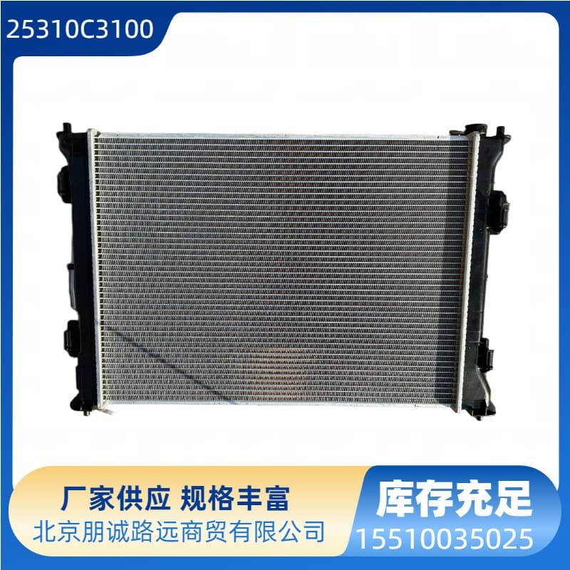 25310C3100 25310-C3100