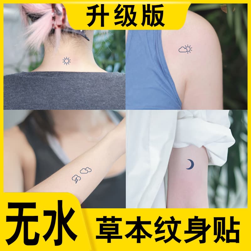 Waterless Herbal Tattoo Stickers Weather Mood Symbols Waterproof Long-Lasting Realistic Juice Tattoo Waterless Tattoo Stickers