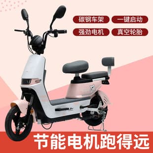 New Two-Wheel Electric Bicycle for Export, Customizable Electric Assist Bike, New Energy Electric Vehicle