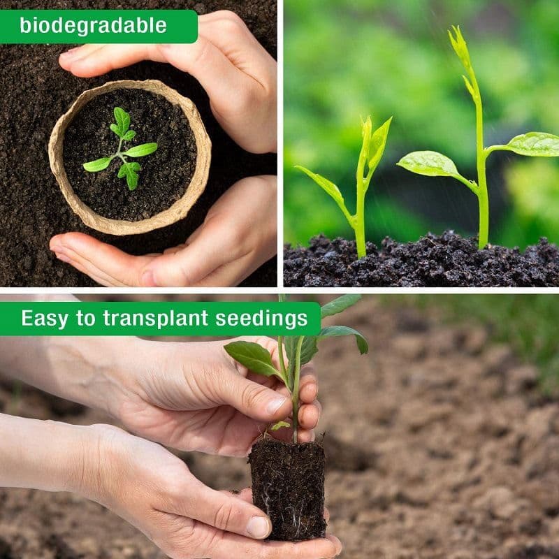 Peat Pot Tray Seed Germinator Plant Growth with Holes Seedling Cup High-Quality Pulp Seedling Cup One Piece