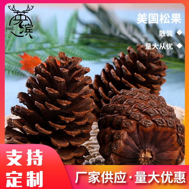 Bulk American pine cones, Christmas tree decorations, DIY materials for American pine cones, photography props and ornaments, large pine cones.
