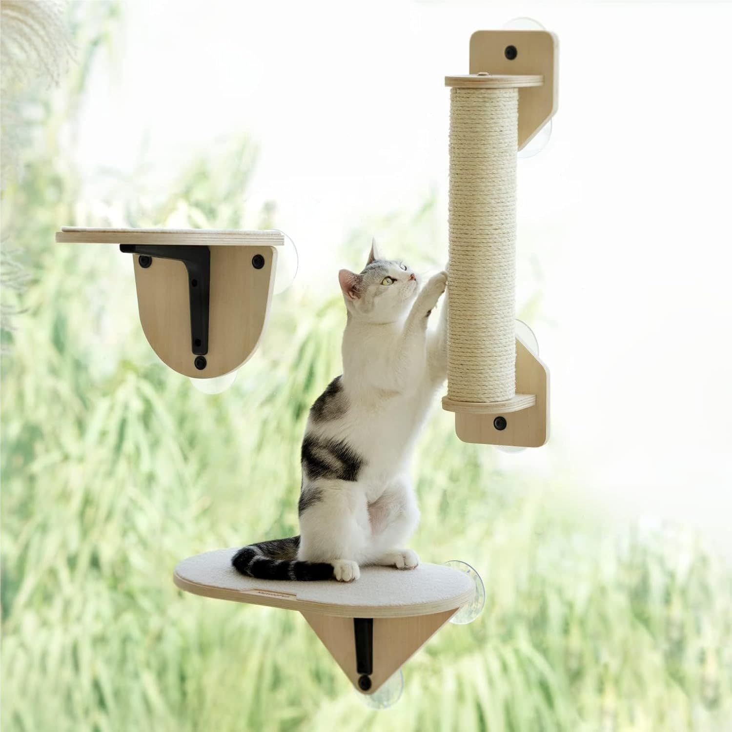Wooden Cat Climbing Frame with Suction Cups for Window, Solid Wood Cat Jump Platform, Cat Scratching Toy, Pet Supplies, Cat Hammock