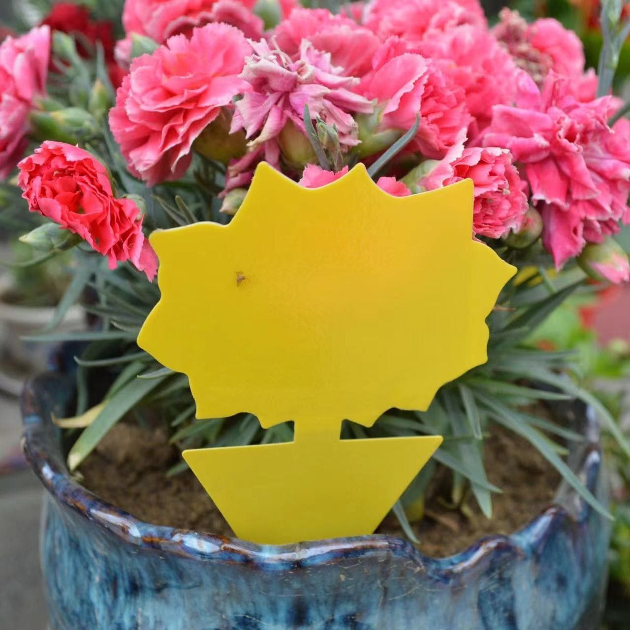Sticky Insect Trap Double-Sided Yellow Board Strong Shaped Sticky Trap Butterfly Garden Ground Insert Mosquito Sticker Insect Trap