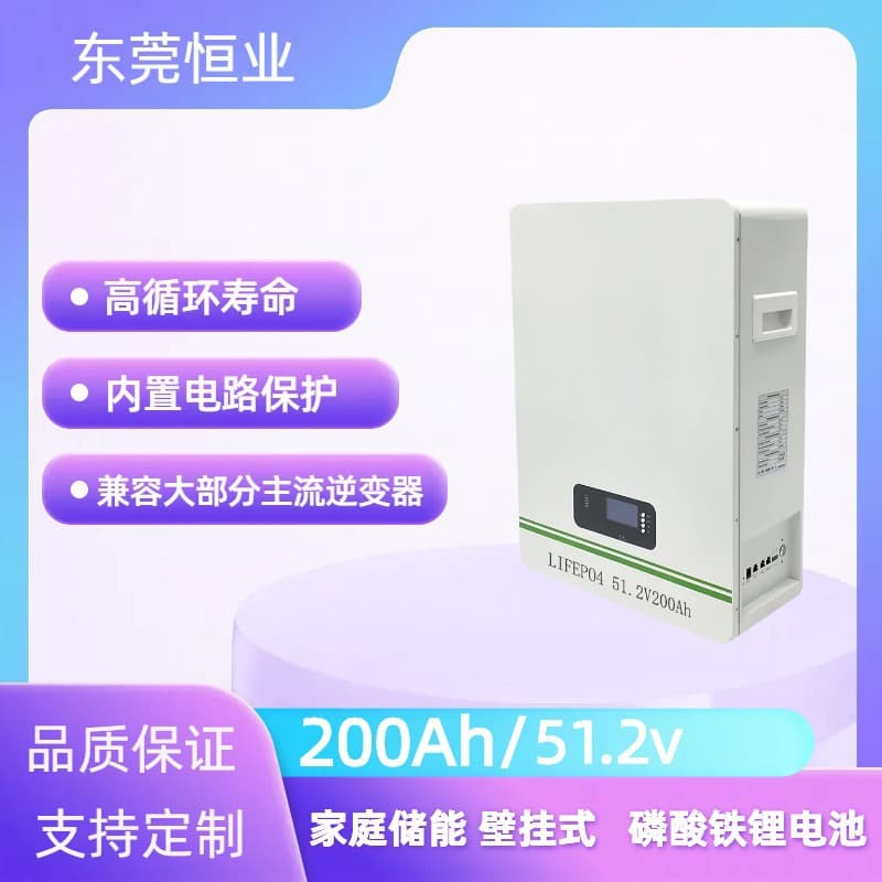 48V 51.2V 200Ah Wall-Mounted High-Power Home Energy Storage LiFePO4 Battery Pack