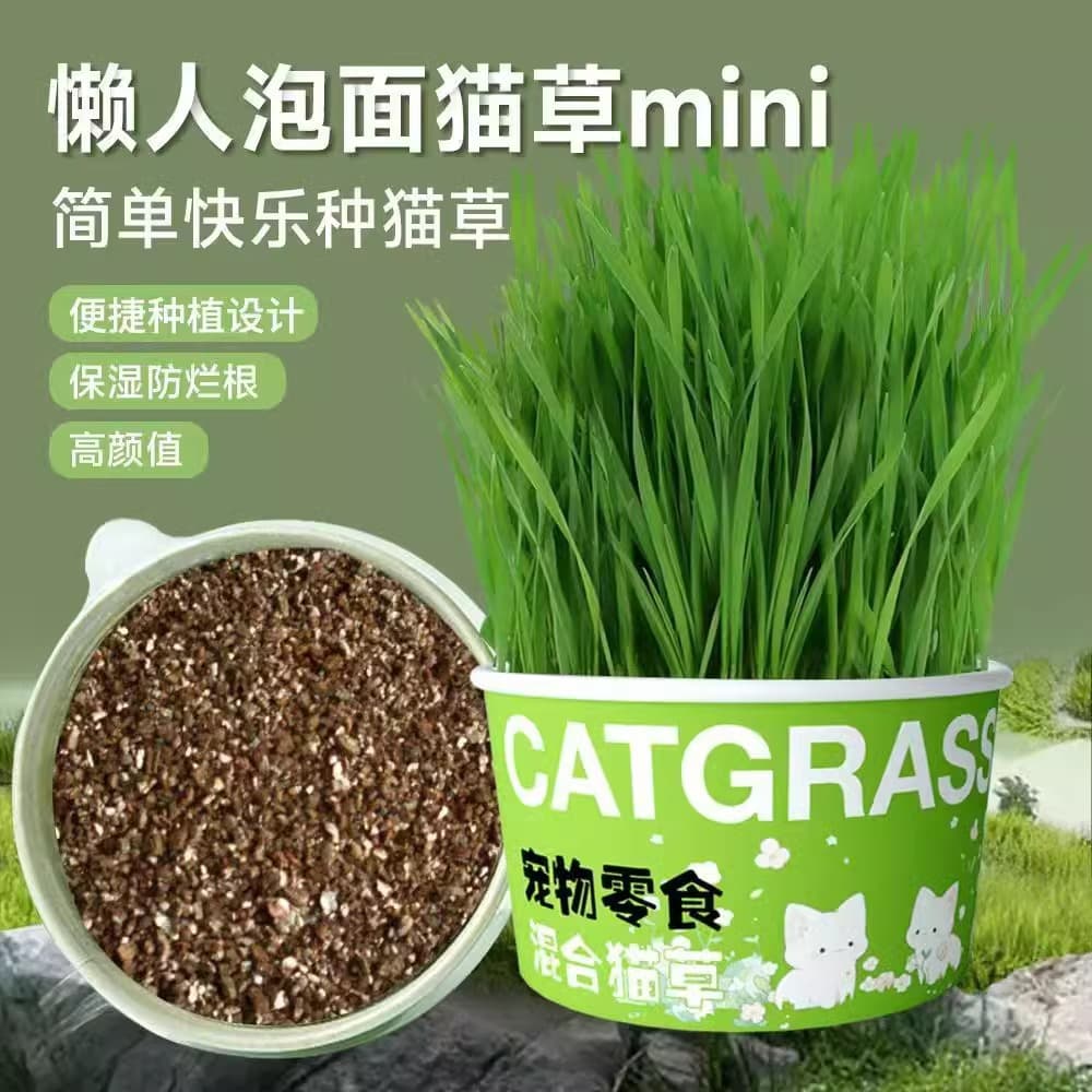 Lazy Cat Grass Hydroponic Cup Hairball Remover Cat Grass Wholesale Cat Grass Planter Lazy Planting Cat Grass Cup Potted Plant
