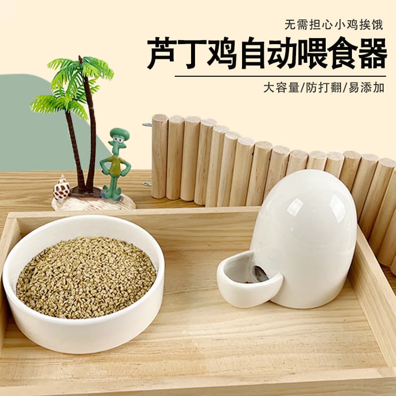 Quail and Chicken Feeder Box, Quail Feeding Device, Water Bottle, Automatic Water Dispenser, Feed Box