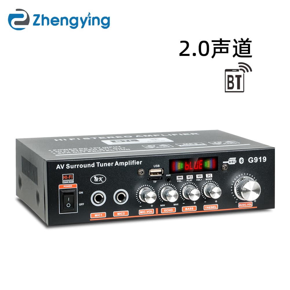 G919 Digital Mini Small Amplifier Speaker Power Amplifier with USB/SD Card Radio 12V 220V