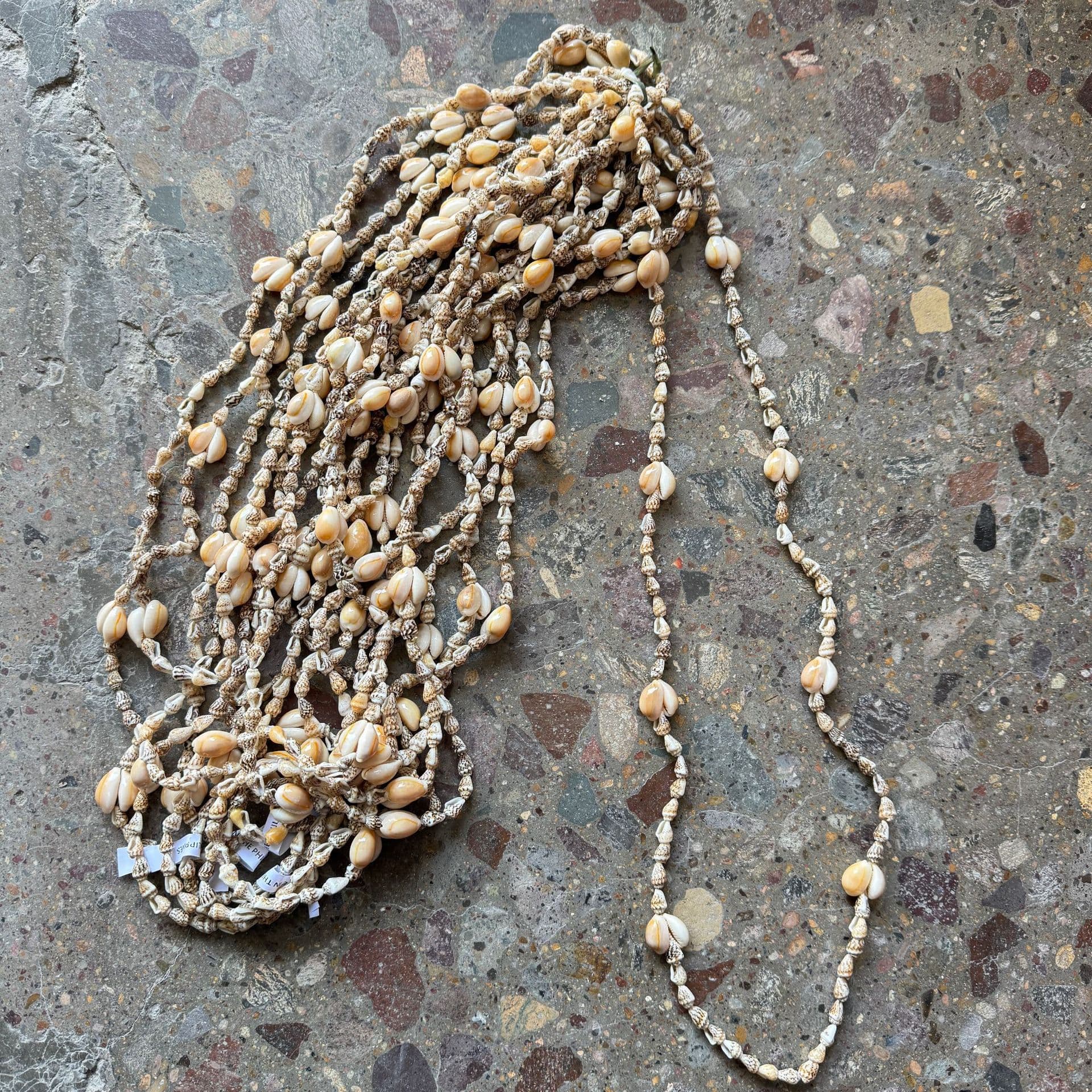 Shell Necklace Sea Snail Corn Snail Gold Trim Chain Beach Accessories European and American Cross-border Accessories Field Promotion Product Study Tour