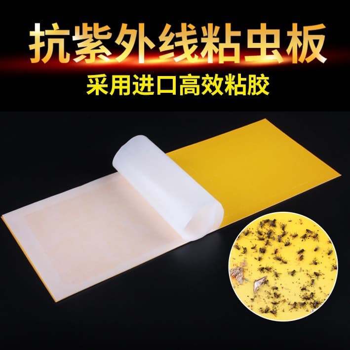 Special stickers for fly killer lamps, sticky boards for commercial restaurants, special stickers for mosquito killer lamps, manufacturer